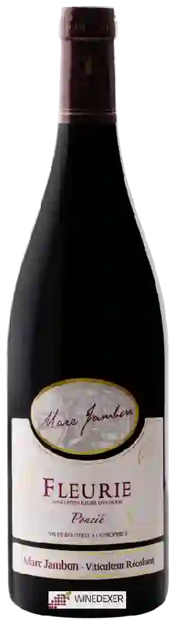 Winery Marc Jambon - Poncié Winery Marc Jambon - Poncié