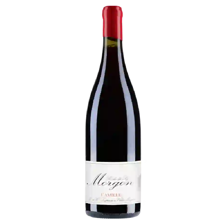 Domaine Mathieu & Camille Lapierre - Beaujolais Nouveau Domaine Mathieu & Camille Lapierre - Beaujolais Nouveau