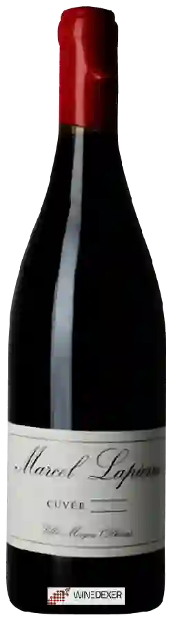 Domaine Mathieu & Camille Lapierre - Cuvée Villié-Morgon Domaine Mathieu & Camille Lapierre - Cuvée Villié-Morgon