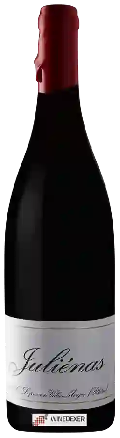 Domaine Mathieu & Camille Lapierre - Julienas