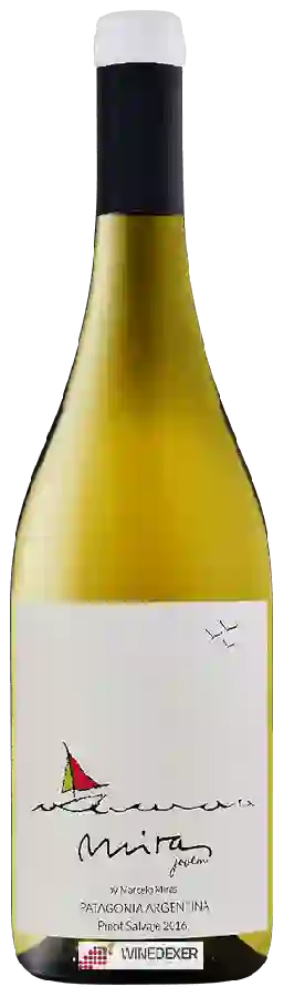 Winery Marcelo Miras - Jovem Pinot Salvaje Winery Marcelo Miras - Jovem Pinot Salvaje
