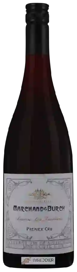 Winery Marchand & Burch - Beaune Premier Cru 'Les Tuvilains'
