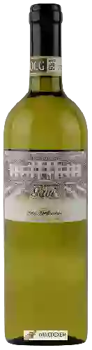 Winery Marchesa - Gavi (Gold Label)