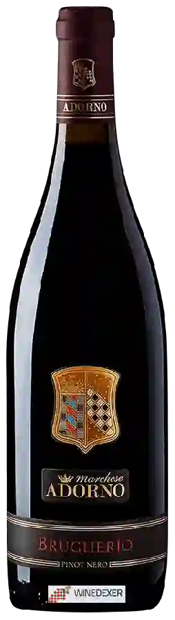 Winery Marchese Adorno - Brugherio Winery Marchese Adorno - Brugherio