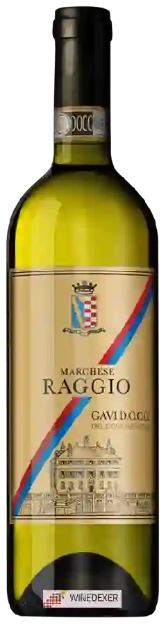 Winery Marchese Raggio - Gavi Winery Marchese Raggio - Gavi