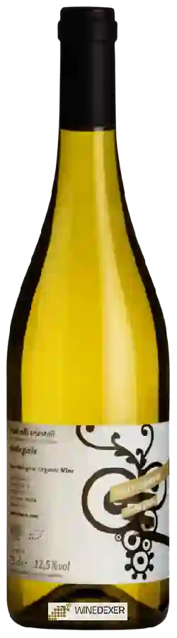 Winery Marco Sara - Ribolla Gialla Winery Marco Sara - Ribolla Gialla