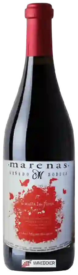 Winery Marenas - Casilla las Flores Winery Marenas - Casilla las Flores