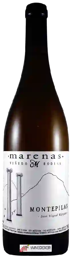 Winery Marenas - Montepilas