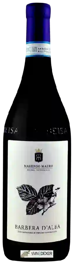 Winery Marengo Mauro - Barbera d'Alba Winery Marengo Mauro - Barbera d'Alba