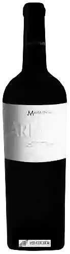 Winery Mariatinto - Tinto