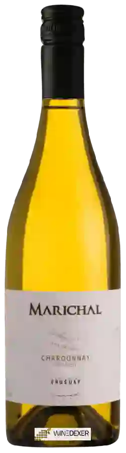 Winery Marichal - Chardonnay (Unoaked) Winery Marichal - Chardonnay (Unoaked)