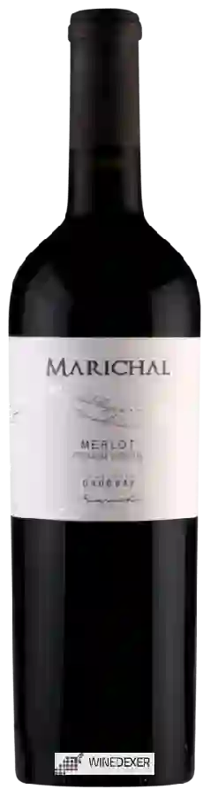 Winery Marichal - Merlot (Premium Varietal)