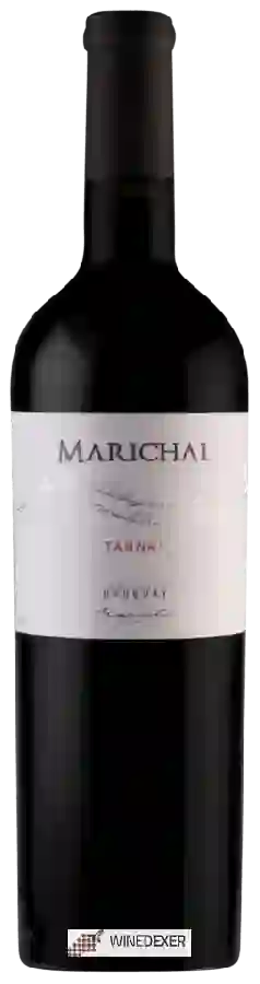 Winery Marichal - Tannat (Premium Varietal)