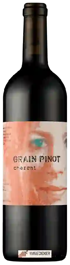 Winery Chappaz - Grain Pinot Charrat