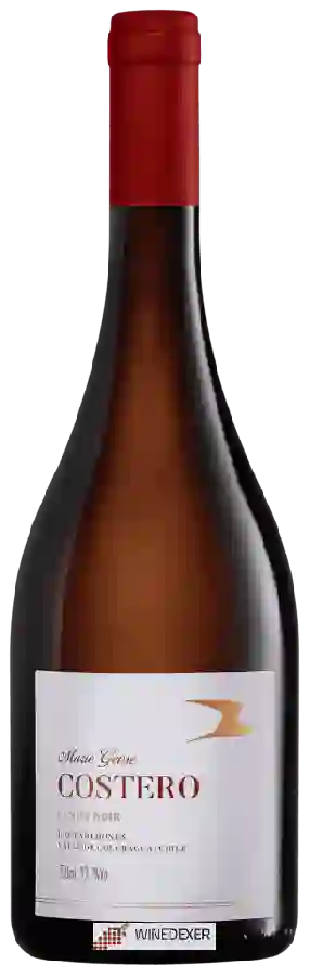 Winery Mario Geisse - Costero Pinot Noir