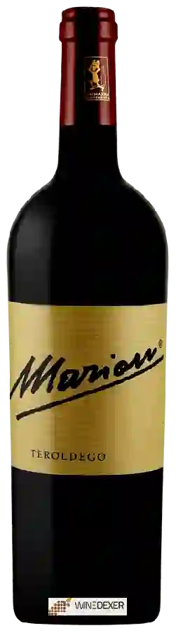 Winery Marion - Teroldego