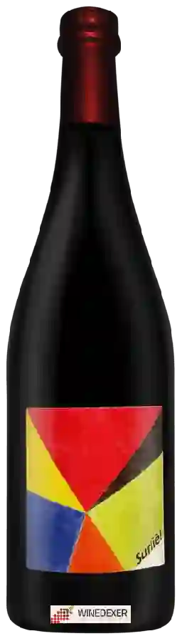 Winery Mariotti - Surliè