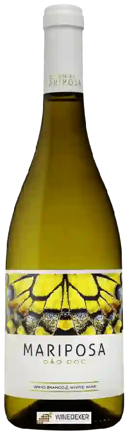 Winery Mariposa - Branco Winery Mariposa - Branco