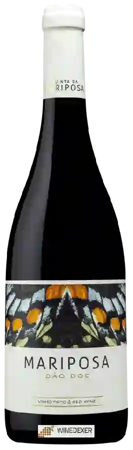 Winery Mariposa - Tinto