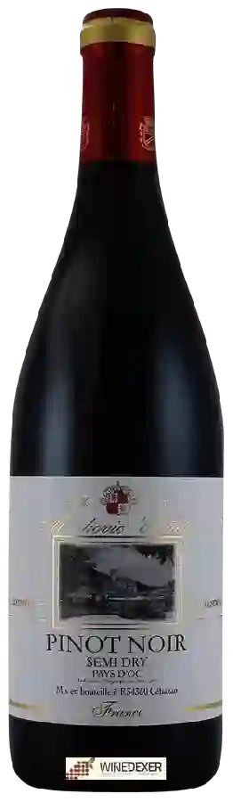 Winery Markovic - Reserve Pinot Noir Semi Dry Winery Markovic - Reserve Pinot Noir Semi Dry