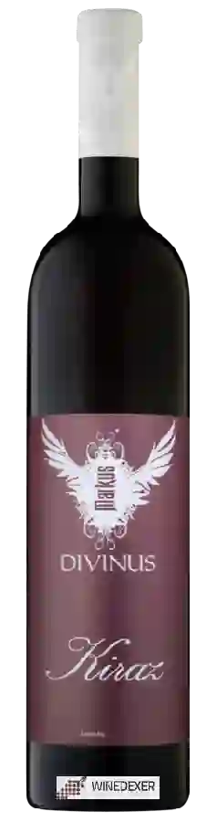 Winery Markus Divinus - Kiraz