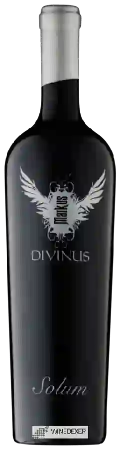 Winery Markus Divinus - Solum