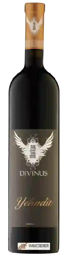 Winery Markus Divinus - Yehudit