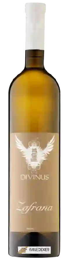 Winery Markus Divinus - Zafrana