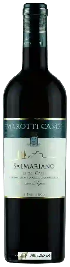 Winery Marotti Campi - Salmariano Castelli di Jesi Verdicchio Classico Superiore