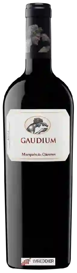 Winery Marqués de Cáceres - Gaudium