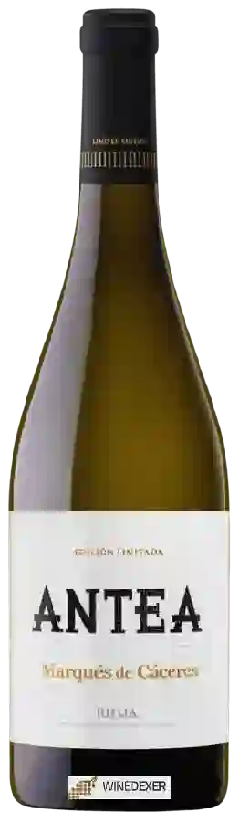 Winery Marqués de Cáceres - Rioja Fermentado En Barrica Antea Winery Marqués de Cáceres - Rioja Fermentado En Barrica Antea