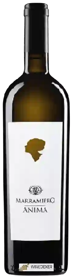 Winery Marramiero - Anima