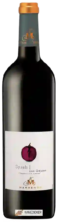 Winery Marrenon - Les Grains Syrah Winery Marrenon - Les Grains Syrah