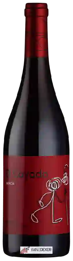 Winery Martin Codax - Bierzo Mencia El Cayado