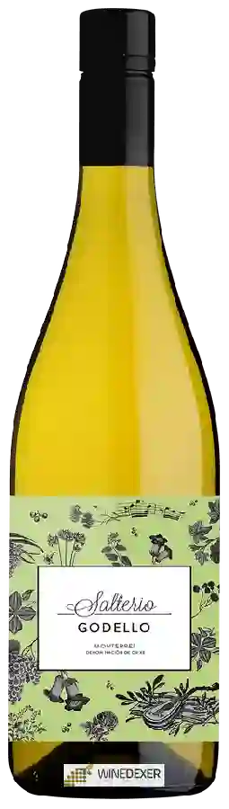 Winery Martin Codax - Salterio Monterrei Godello