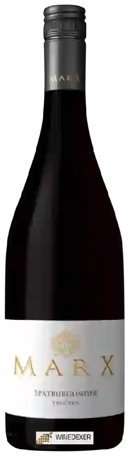 Winery Marx - Spätburgunder Trocken