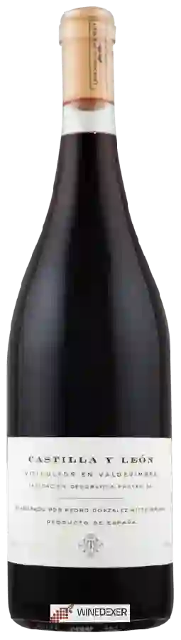 Winery Mary Taylor - Castilla y León