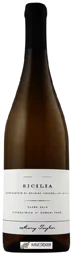 Winery Mary Taylor - Clara Sala