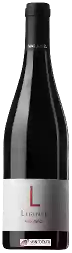 Winery Mas Amiel - Légende