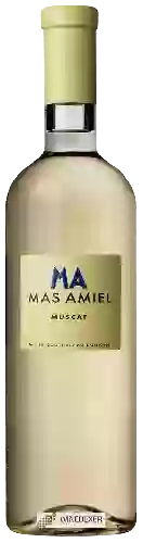 Winery Mas Amiel - Muscat
