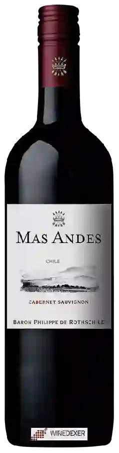 Winery Mas Andes - Cabernet Sauvignon