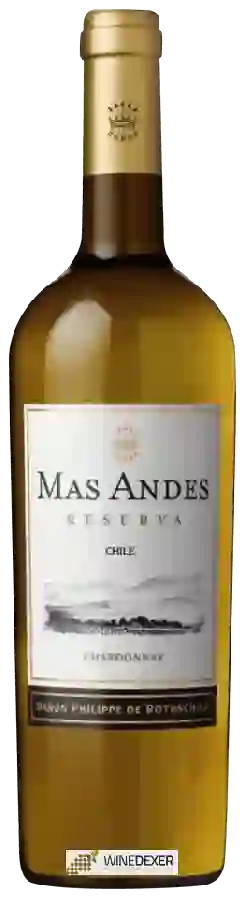 Winery Mas Andes - Chardonnay (Reserva) Winery Mas Andes - Chardonnay (Reserva)