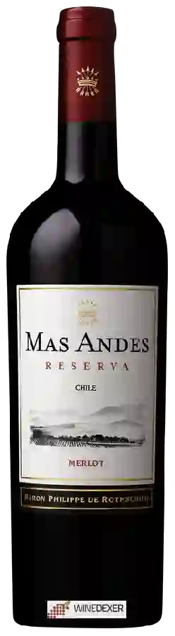 Winery Mas Andes - Merlot Reserva