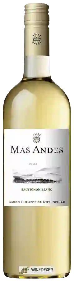 Winery Mas Andes - Sauvignon Blanc (Reserva) Winery Mas Andes - Sauvignon Blanc (Reserva)
