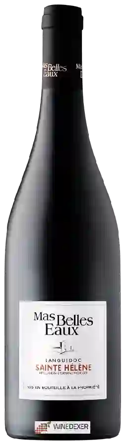 Winery Mas Belles Eaux - Languedoc Sainte Hélène