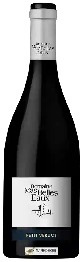 Winery Mas Belles Eaux - Petit Verdot