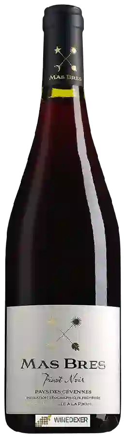 Winery Mas Bres - Pinot Noir