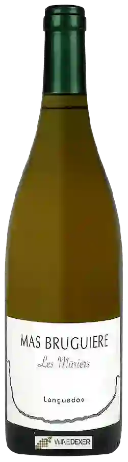Winery Mas Bruguiere - Les Mûriers Languedoc
