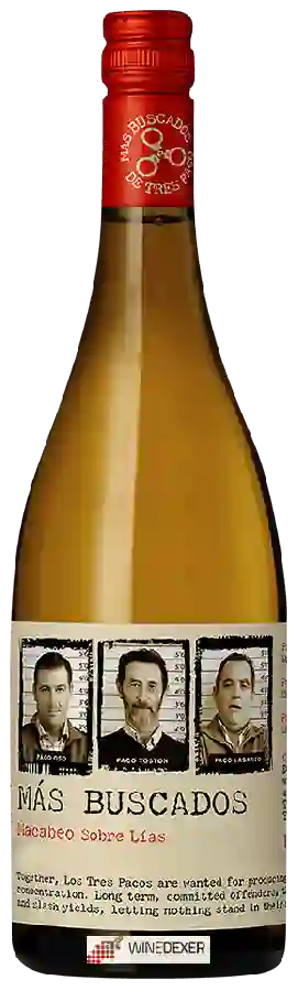 Winery Más Buscados - Macabeo Sobre Lías Winery Más Buscados - Macabeo Sobre Lías