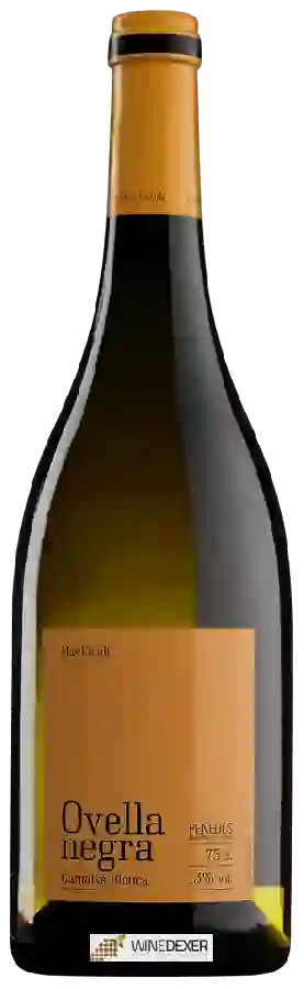 Winery Mas Candi - Ovella Negra Garnatxa Blanca